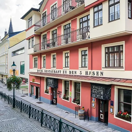 Hotel Drei Hasen-2